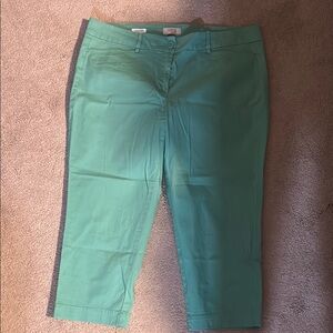 LOFT Mint Green Cropped Pants